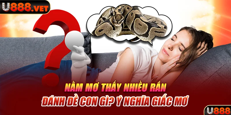 Nằm Mơ Thấy Nhiều Rắn Đánh Đề Con Gì? Ý Nghĩa Giấc Mơ