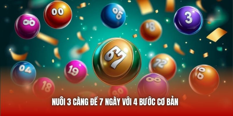 Nuôi 3 càng đề khung 7 ngày với 4 bước cơ bản 