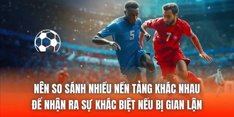 Nên so sánh nhiều nền tảng khác nhau để nhận ra sự khác biệt nếu bị gian lận