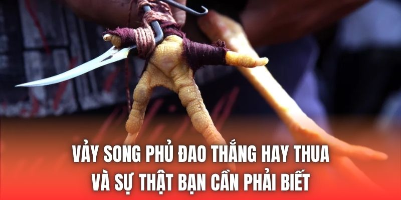Vảy song phủ đao thắng hay thua và sự thật bạn cần phải biết